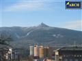 photo_14